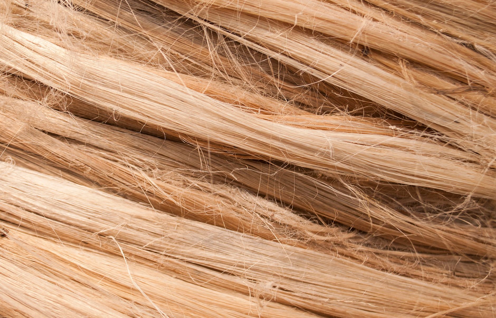 Ashutosh Fibre Ltd. IPO: The Complete Guide to Financial Success