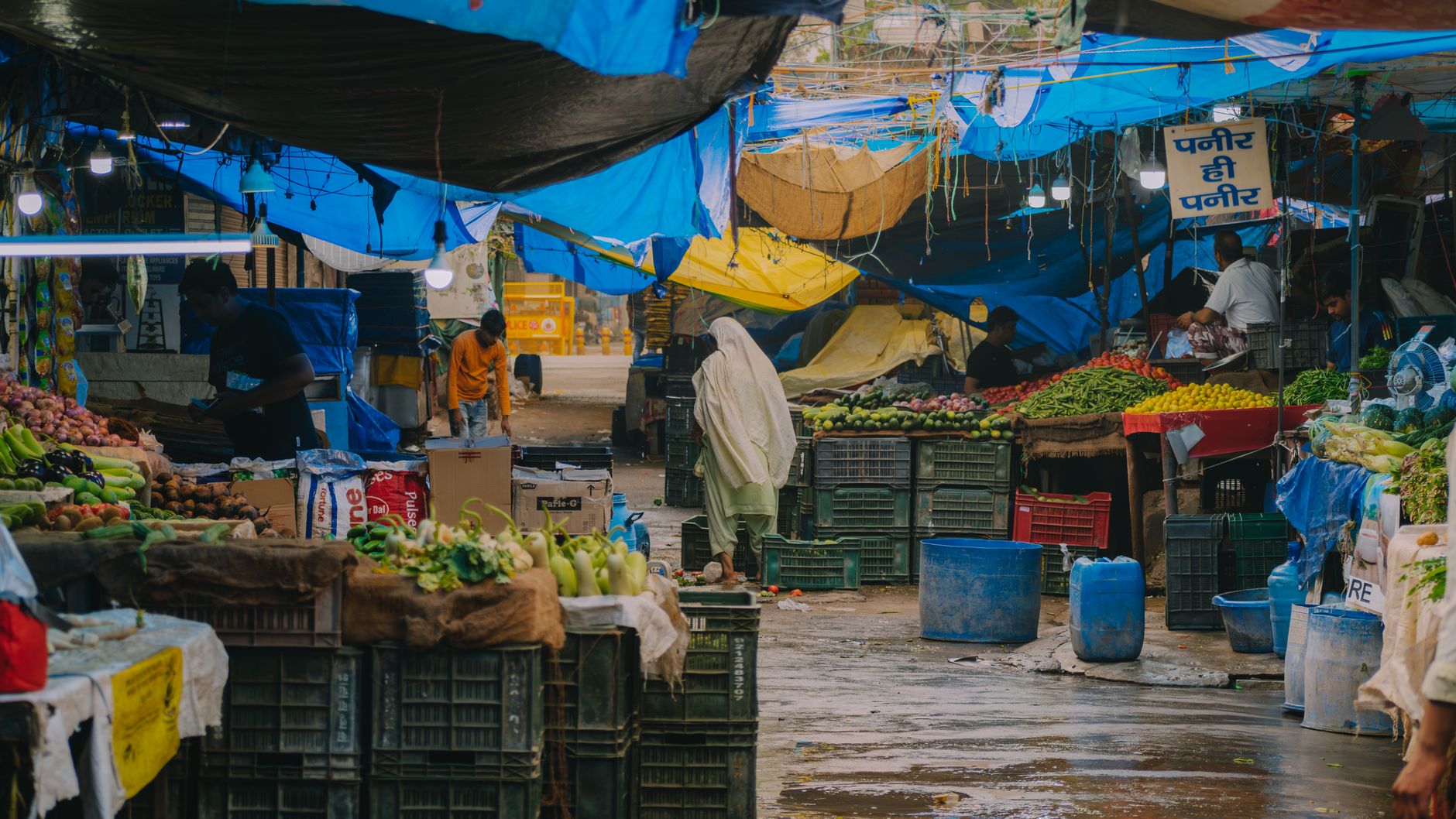 Indian markets stabilise: Is this the best time to invest?