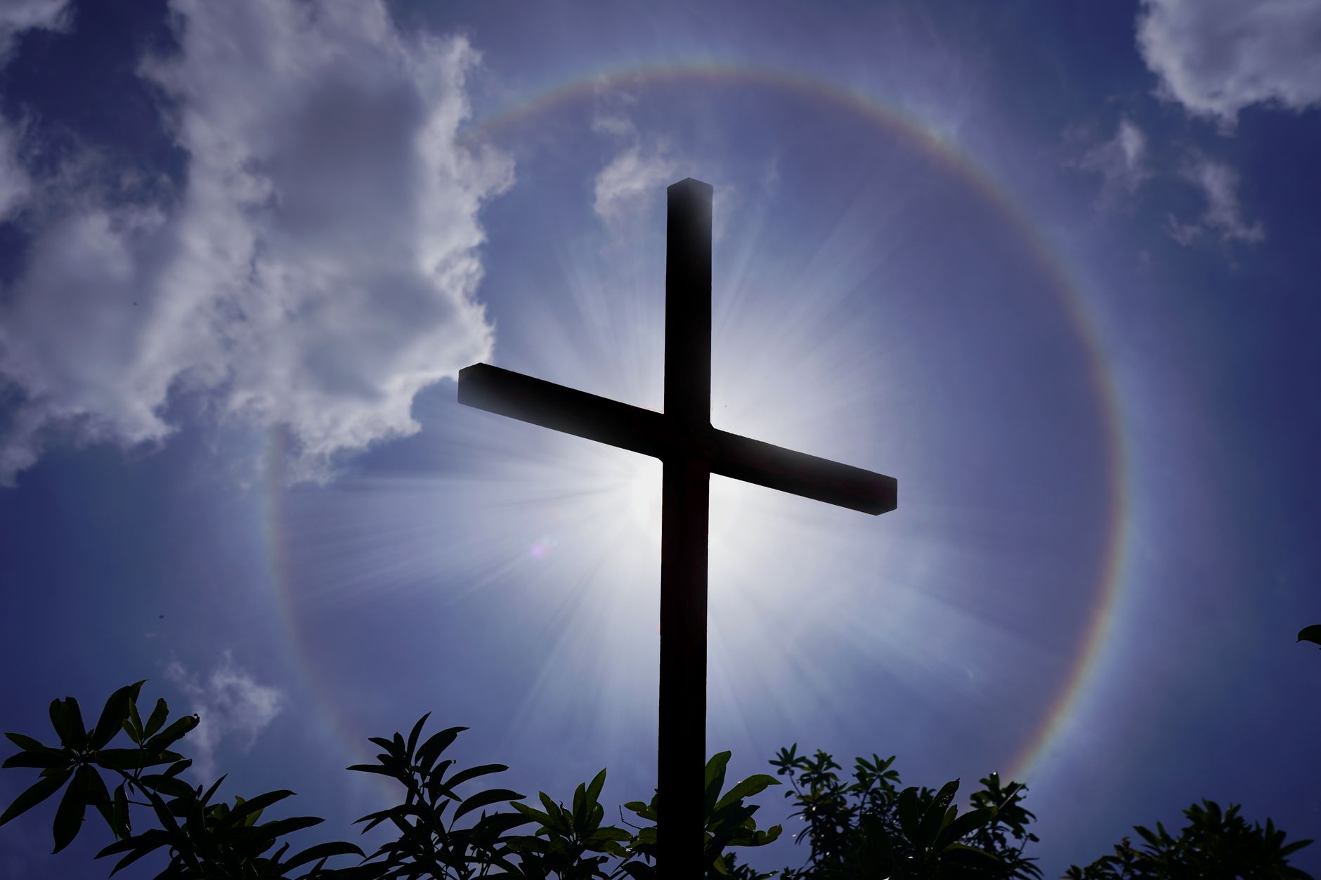 Rays of Belief IPO: Flat Debut on NSE and BSE